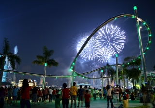 Top ten tips to keep your pets happy during the fireworks season